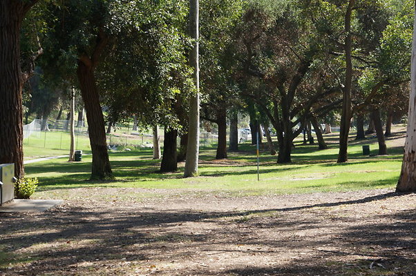 DSC09194