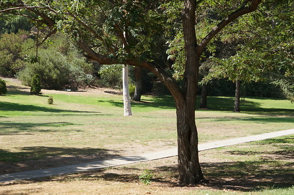 DSC09160