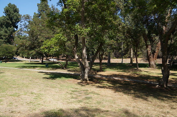 DSC09178