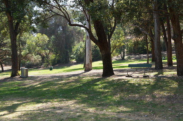 DSC09187