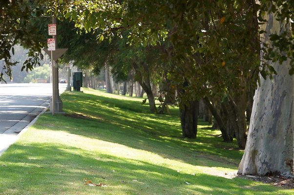DSC09150