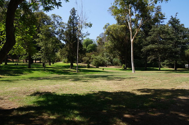 DSC09164