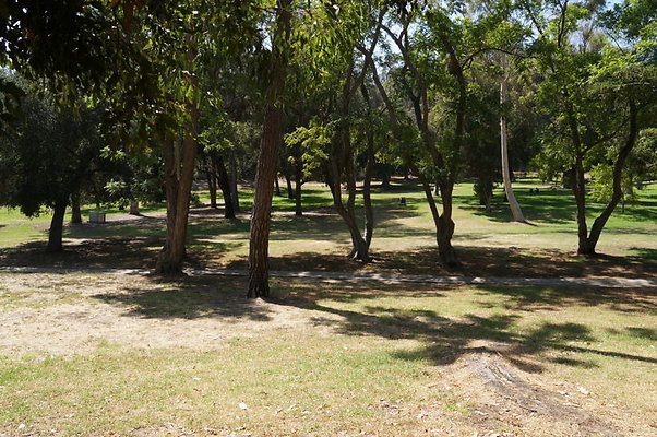 DSC09153