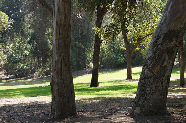 DSC09195