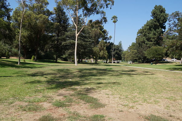DSC09177