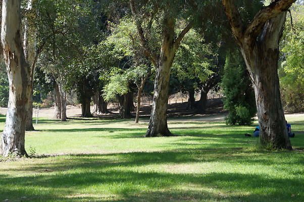 DSC09201