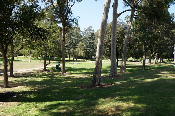DSC09148