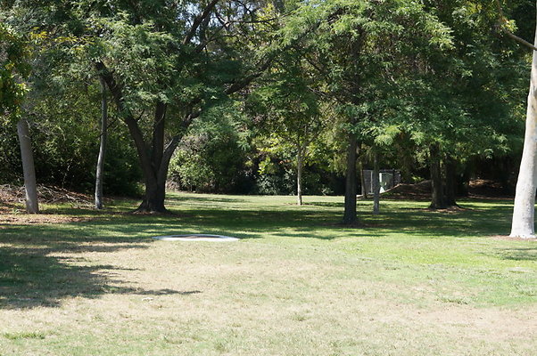 DSC09134