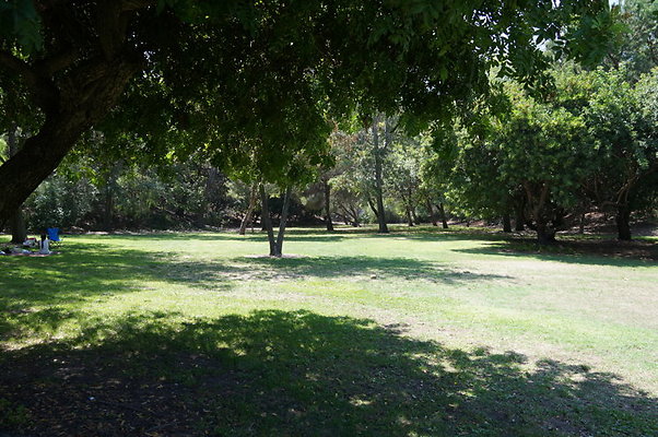 DSC09119