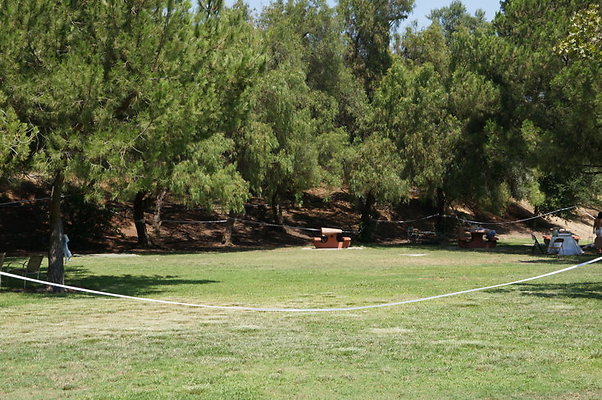 DSC09137