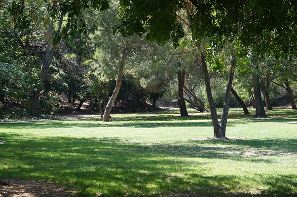 DSC09117