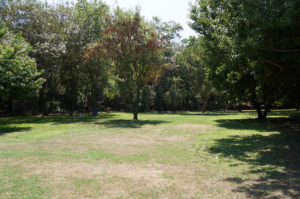 DSC09128