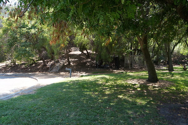 DSC09140