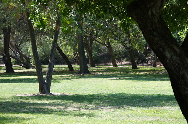 DSC09118
