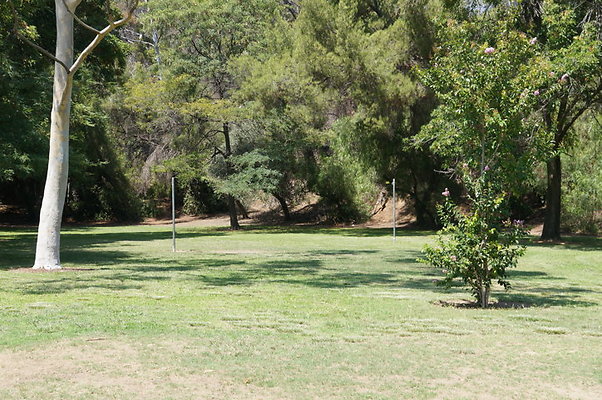 DSC09135