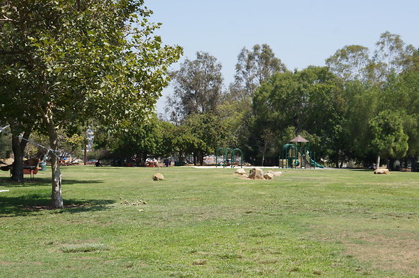 DSC09138