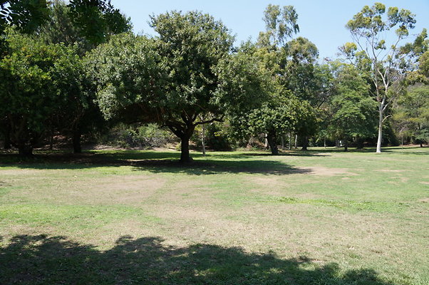 DSC09120