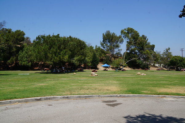 DSC09115
