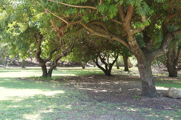DSC09129