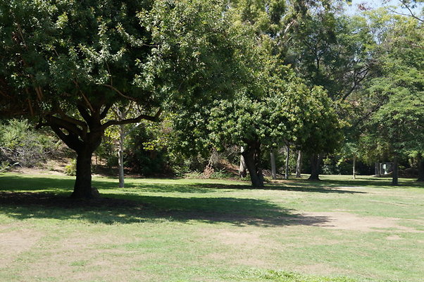 DSC09127