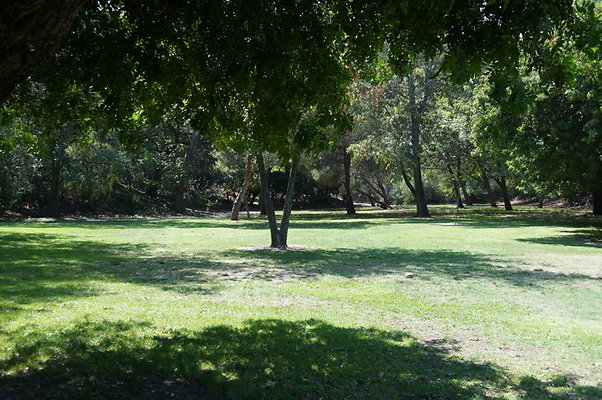 DSC09122