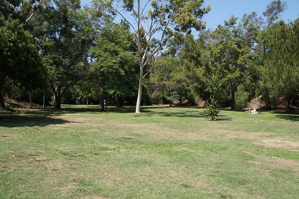DSC09131
