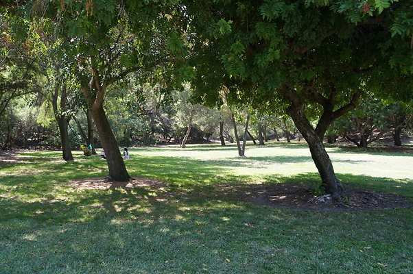 DSC09116