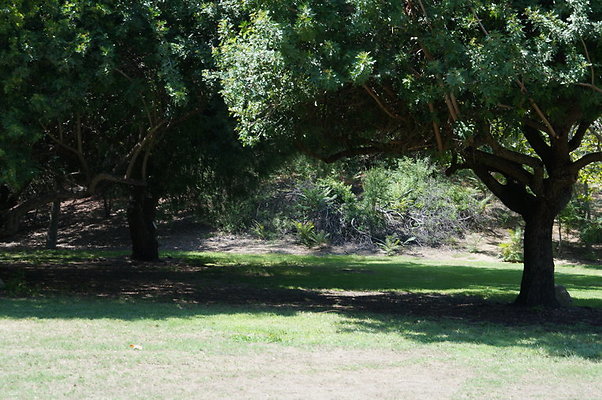 DSC09126