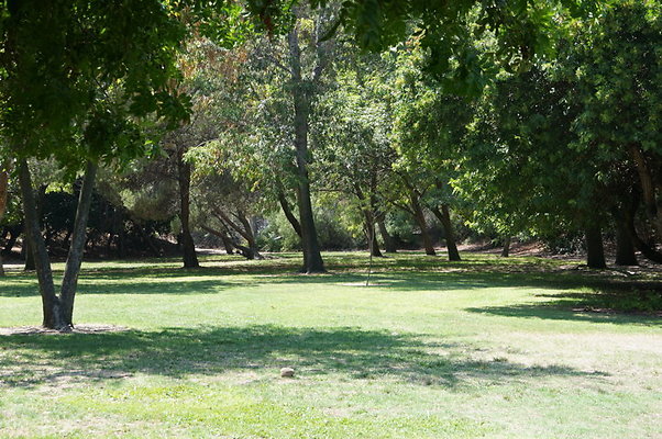 DSC09123
