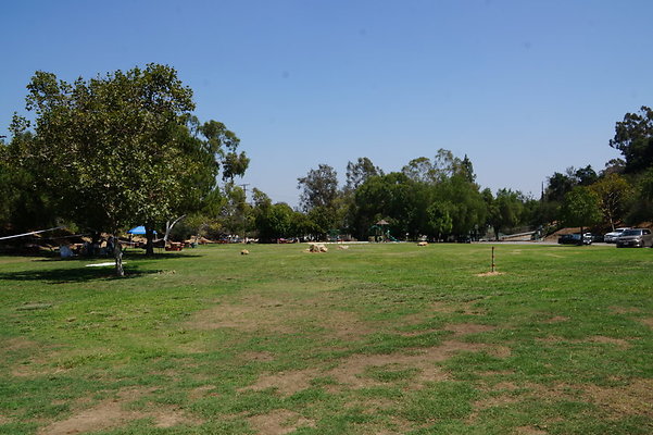 DSC09133