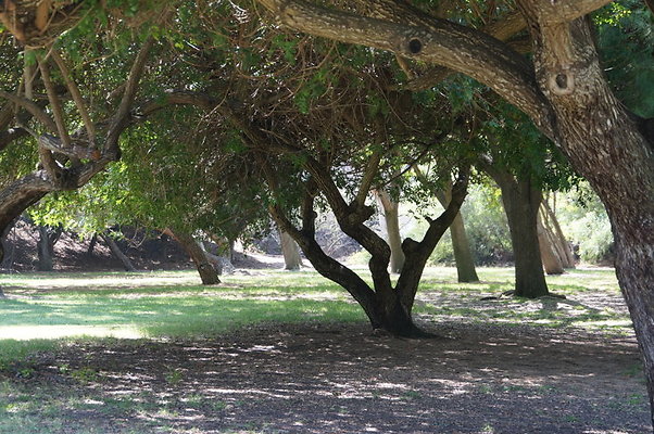 DSC09130