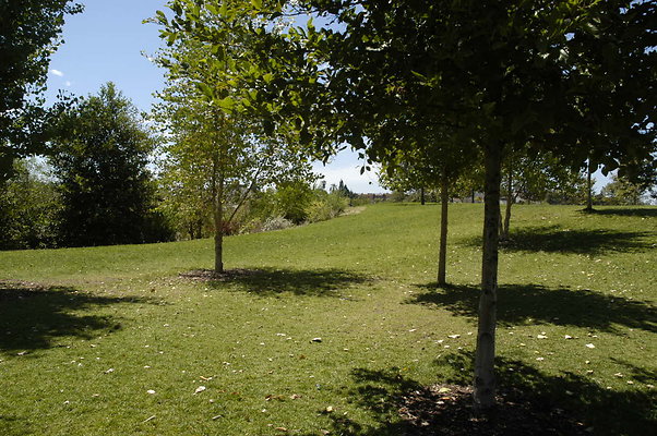 Vista Hermosa Park 0099