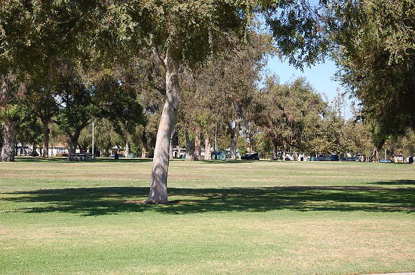 DSC 0143