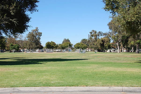 DSC 0139