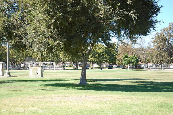 DSC 0141