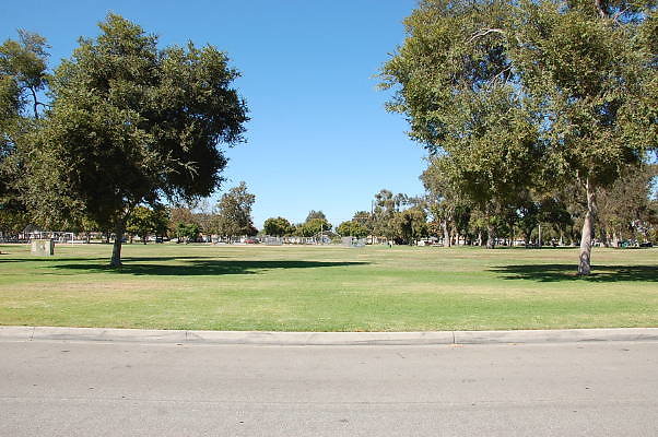 DSC 0136