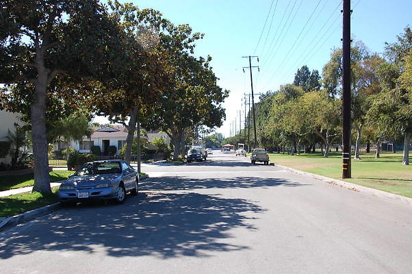 DSC 0145