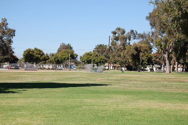 DSC 0142