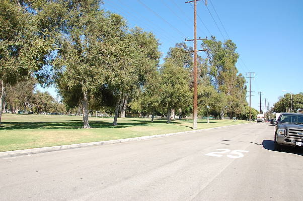DSC 0137