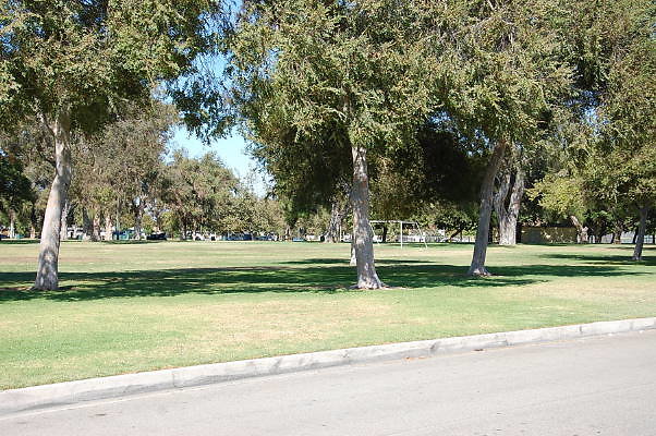 DSC 0140