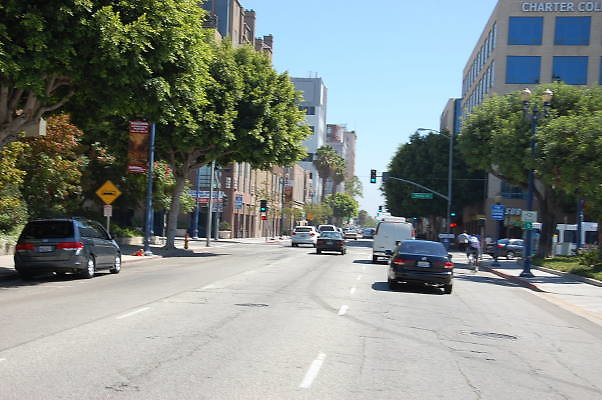 DSC 0349