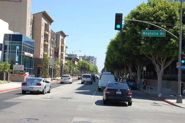 DSC 0345