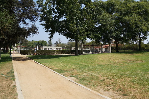 DSC08831