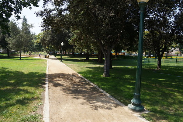 DSC08842