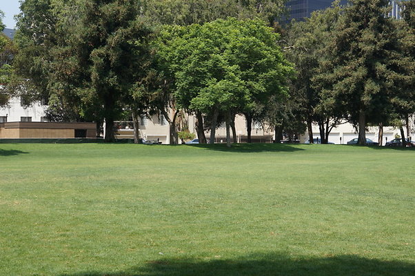 DSC08827