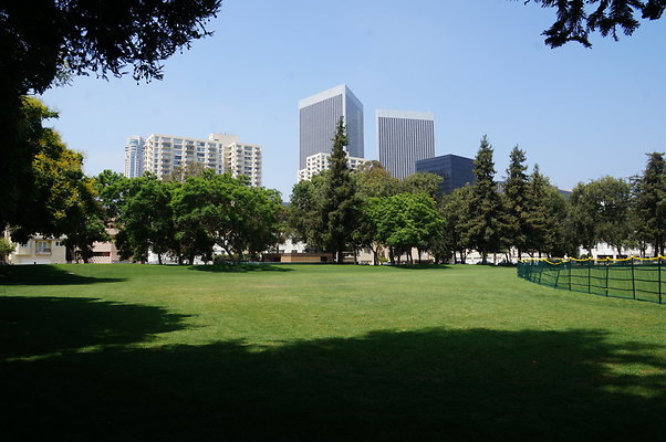 DSC08825