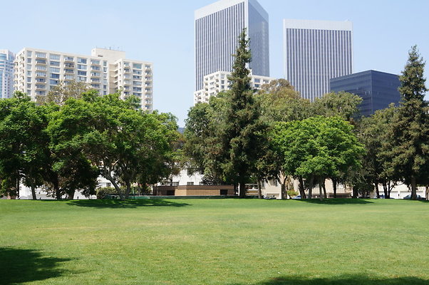 DSC08826