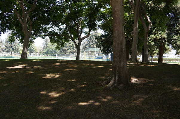 DSC08758