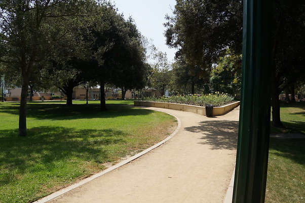 DSC08833