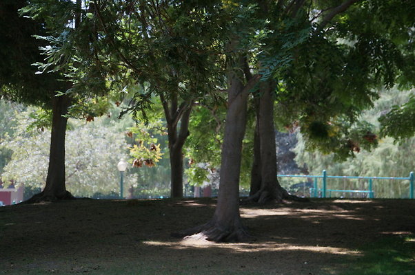 DSC08830